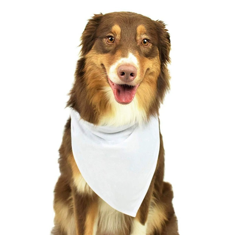 Bandana Blank White - Küçük Orta Büyük Köpekler için 30